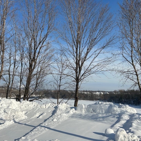 Meet your Posher, Britta - Picture 1 of 1